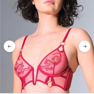 Thistle & Spire Tiger Bra + Panty Set